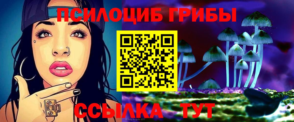 Псилоцибиновые грибы мицелий  Вход с VPN  Кисловодск 