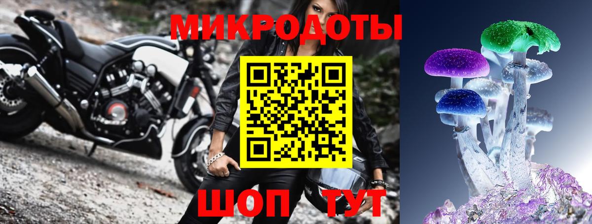 Псилоцибиновые грибы Psilocybine cubensis Кисловодск