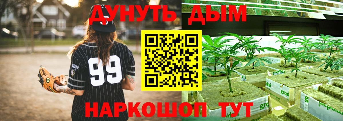 Канабис White Widow Кисловодск